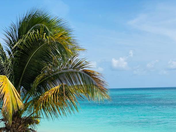 istock Beautiful tropical beach in Antigua 1328057931