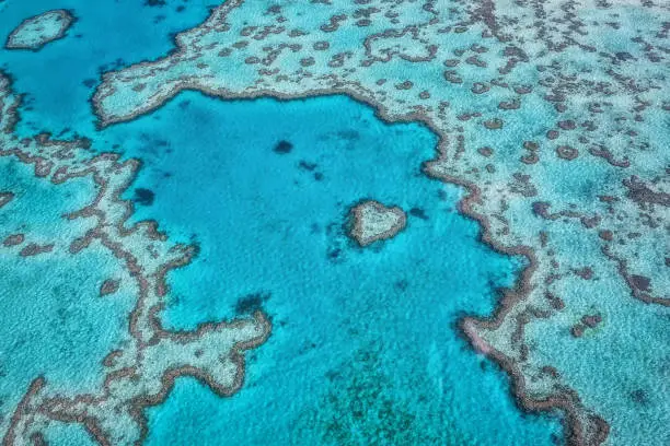 This is a scenery of Heart Reef at Great Barrier Reef in Queensland, Australia.
Great Barrier Reef is well known worldwide as a tourist destination every season every year.