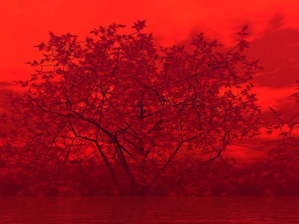 This is a picture I imagined.I do not use photos or illustrations for reference.Image rendered by 3D software.