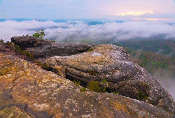 Summit View across the Grosser Zschand Valley in Saxony. Morning twilight and fog. Fog at dawn in the Valley