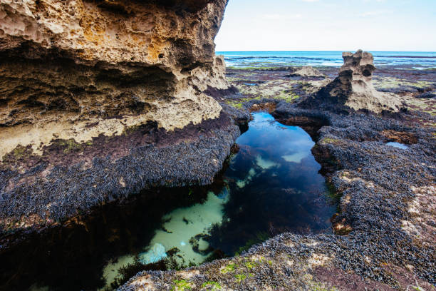 istock Monforts Beach in Blairgowrie Australia 1328092421