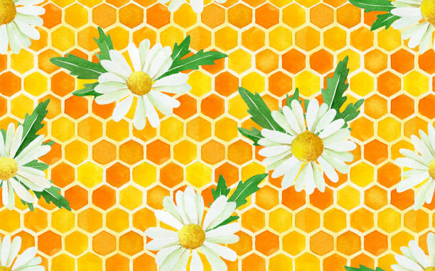 노란색 벌집과 카모마일 꽃과 수채화 원활한 패턴. 직물, 벽지, 포장지에 대한 귀여운 인쇄. 여름, 농사, 천연제품을 테마로 한 배경 - honey hexagon honeycomb spring stock illustrations