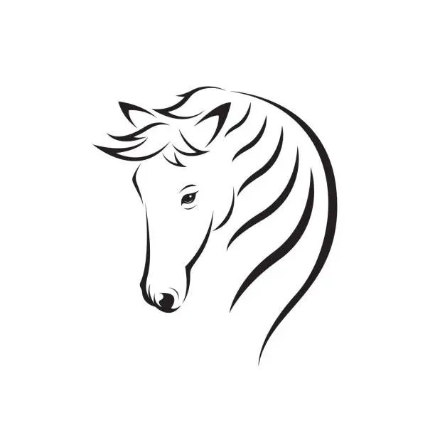 Vector illustration of Vector of horse head design on white background. Easy editable layered vector illustration. Wild Animals. Animal.
