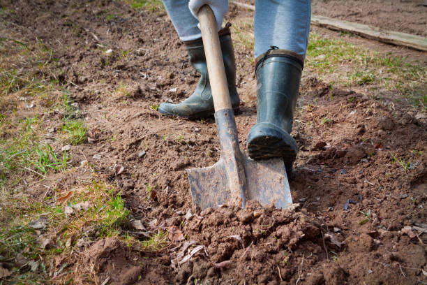 istock A farmer digs the ground. 1328104579