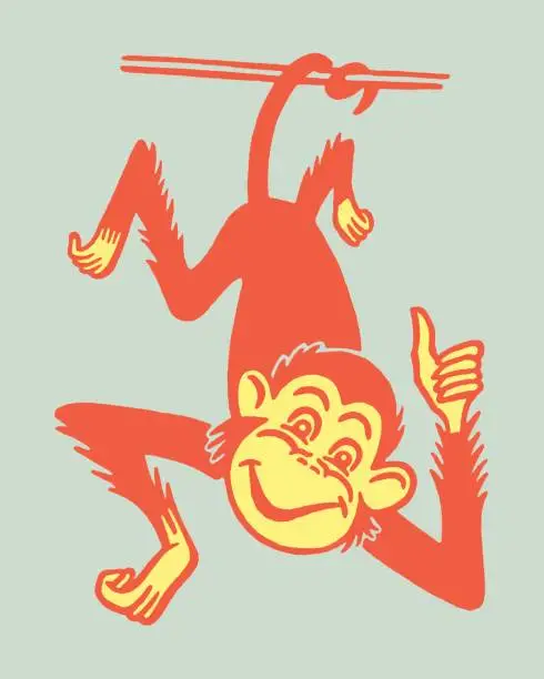 Vector illustration of Thumbs Up from Smiling Monkey