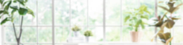 Blur house window see through green plant garden background of living room in home.banner backdrop Blur house window see through green plant garden background of living room in home.banner backdrop sunny window stock pictures, royalty-free photos & images