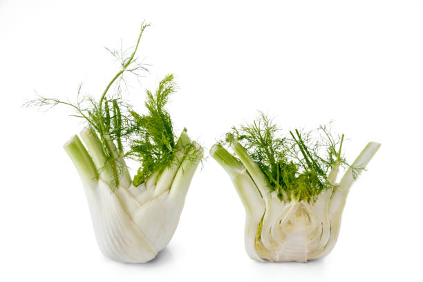 bulbo de hinojo fresco entero y un corte - fennel anise copy space isolated on white fotografías e imágenes de stock