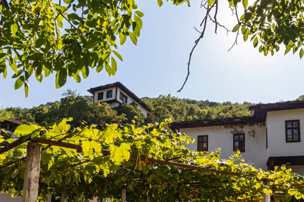 istock Medieval Cherepish Monastery of The Assumption, Bulgaria 1328122566