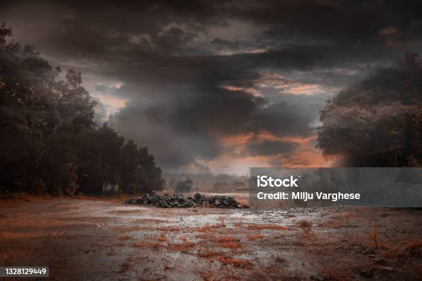 Nature Photography Rainy Day Monochrome Landscape Stock Photo - Download Image Now