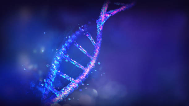 istock DNA double helix starting to decay on blue background, 3D render. 1328129945