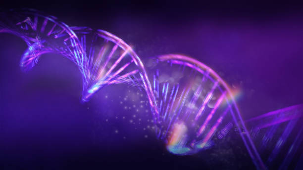 Luminous DNA strands on a dark violet background, 3D render. Diagonal model of abstract double helix DNA, glowing in virtual space. 3D render. genomics stock pictures, royalty-free photos & images