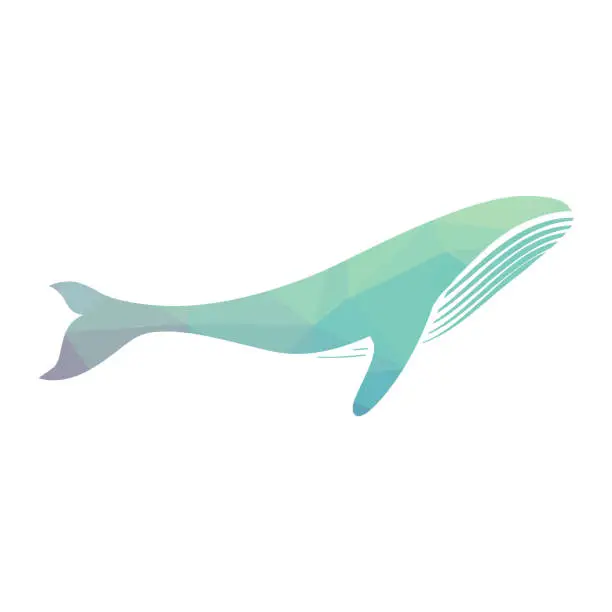 Vector illustration of whale