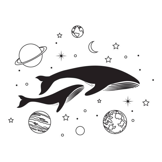 whale abstract humpback whale whales stock illustrations