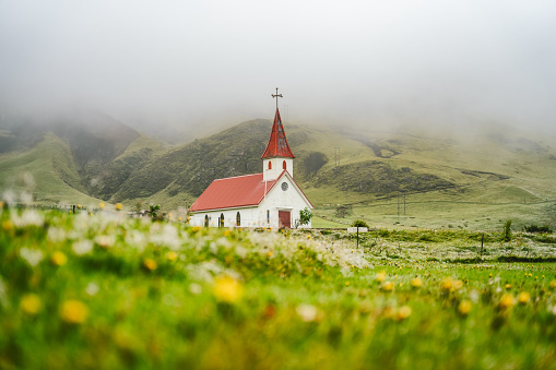 Typical Rural Icelandic Church with red roof in Vik region. Iceland. Blossom flower and foliage in foreground.