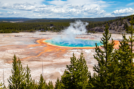 Image of Steamy pools of acidic waters in Norris Basin of Yellowstone