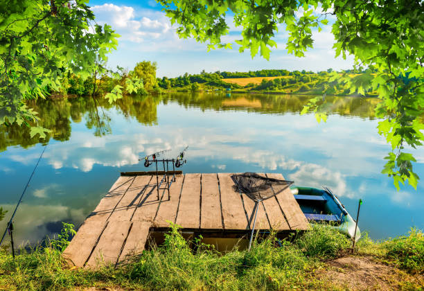 A small wooden boat floats on Lake Narach, Belarus, partially shaded by overhanging tree branches with green leaves. The water ripples gently, reflecting the tree and boat. In the background, a serene landscape extends across the horizon, suggesting a peaceful, natural setting. The branches, with a textured bark, add to the tranquil atmosphere. Nearby, another boat is visible, contributing to the lakeside scene.