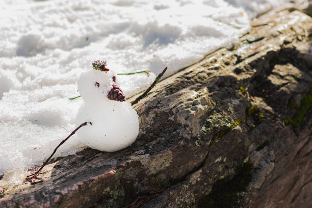 istock Little snowman in winter forest woods 1328136837