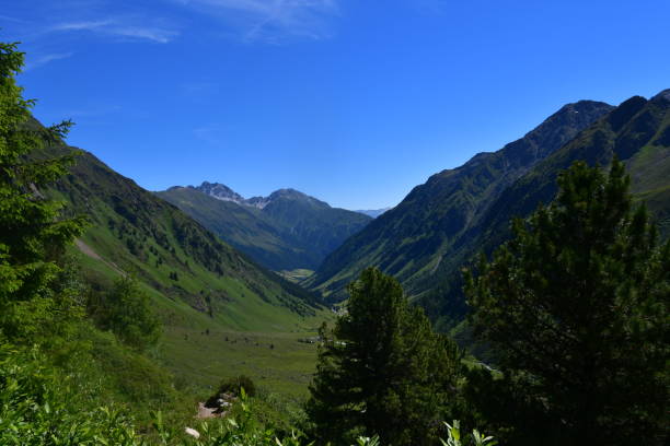 istock Beautiful landscape in Stubai valley 1328138264
