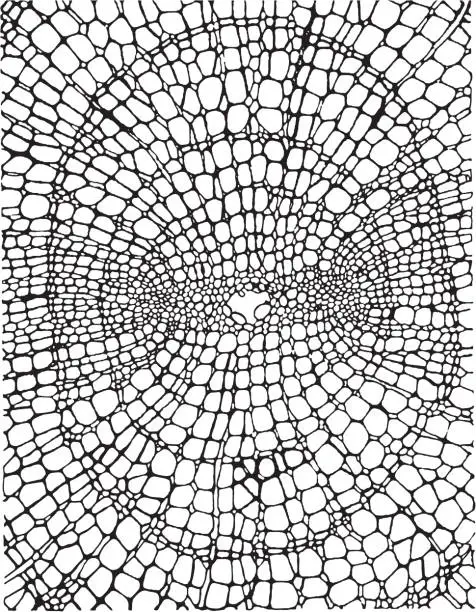 Vector illustration of Organic Dot Pattern