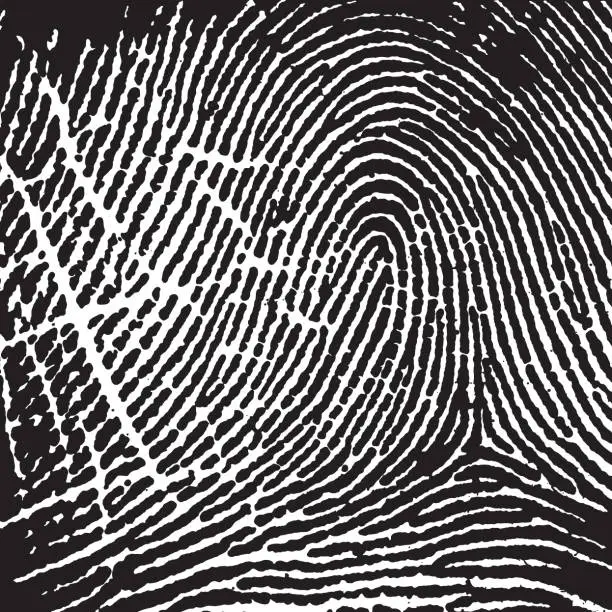 Vector illustration of Fingerprint Pattern