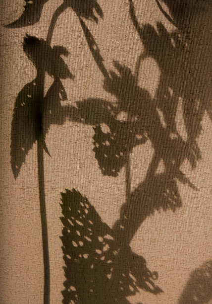 istock Light and shadow sunset on old retro beige fabric texture.  vintage textile background. 1328146898