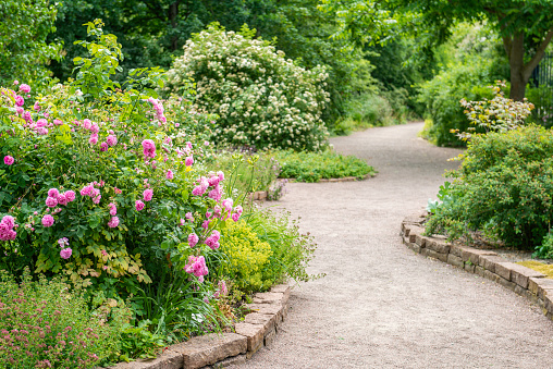 Stone walkway in flower garden. Annual flower exhibition in Chiang Mai, Thailand.