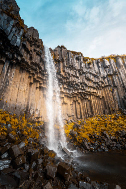 istock Svartifoss, Black Waterfall, Iceland 1328150905