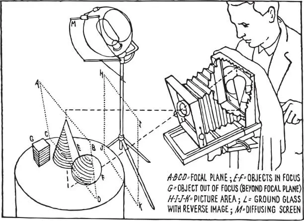 Vector illustration of Photography