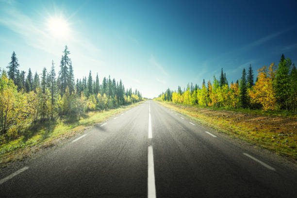 istock Road in autumn forest, Sweden 1328153773