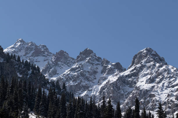 вид на большие горные скалы в снегу - kazakhstan glacier snow mountain view стоковые фото и изображения
