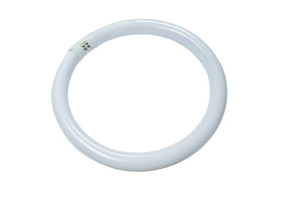 circle fluorescent electric lamp isolated on white background