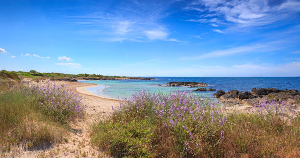 the beautiful coast of salento: marina di salve beach. it' s almost sandy and embellished with low cliffs, easy to reach in the area of the municipalities of salve and ugento near torre pali in puglia, italy. - sandbar imagens e fotografias de stock