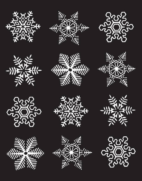 Twelve Snowflakes Twelve Snowflakes dingbat stock illustrations