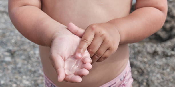 istock Child's hands carefully holding small jellyfish 1328160639
