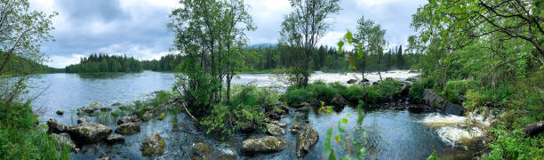 Photo of Spring flooding of the river. A wide panorama of the blue surface on the will of green foliage and trees. Karelia. north. national park.