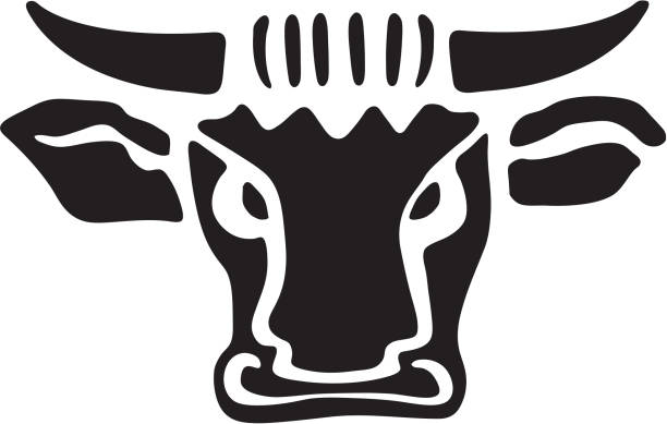 illustrazioni stock, clip art, cartoni animati e icone di tendenza di toro - texas longhorn cattle horned cattle farm