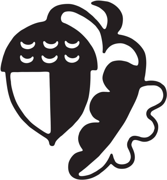 Acron Signitive 2,700+ Acorn Logo Stock Illustrations, Royalty-Free Vector Graphics ...