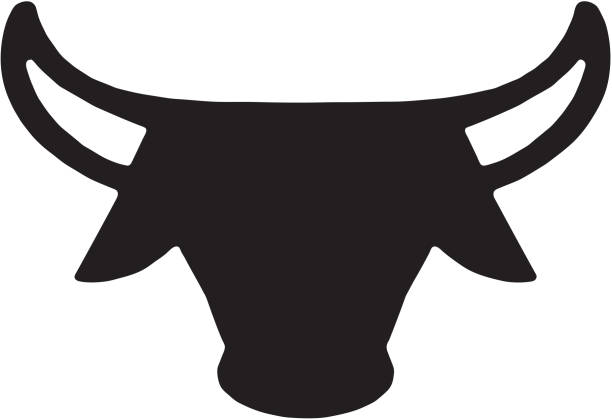 illustrazioni stock, clip art, cartoni animati e icone di tendenza di longhorn - texas longhorn cattle horned cattle farm