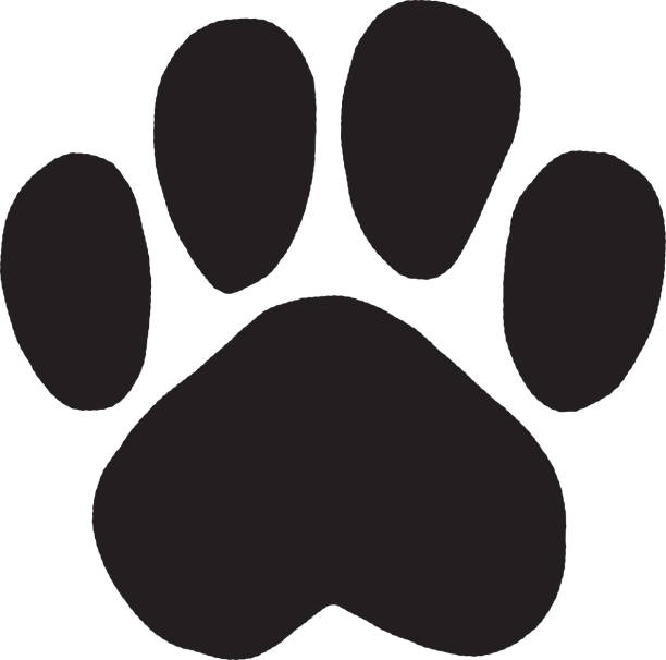 stockillustraties, clipart, cartoons en iconen met paw print - spoor vorm
