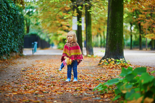 Adorable toddler girl walking in park on a fall day in Paris, France. Child enjoying autumn outdoors