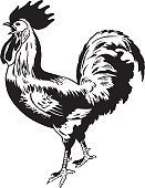 istock Standing rooster 1328173346
