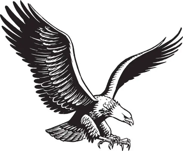 Vector illustration of Eagle in flight
