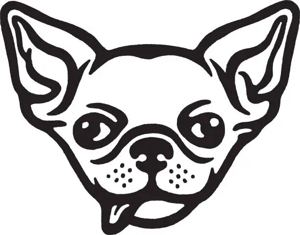 Vector illustration of Chihuahua sticking out tongue