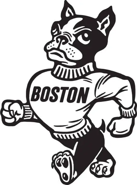 Vector illustration of Anthropomorphic dog mascot with Boston on sweater