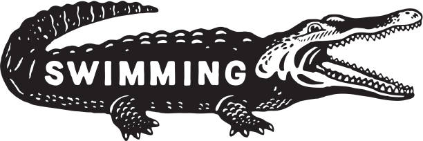 istock Illustration of crocodile with Swimming text written on it 1328178173