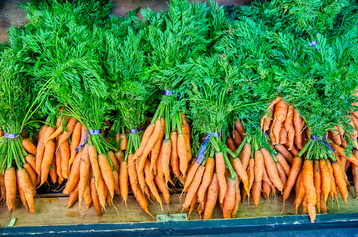 bundles of carrots at the farmer's market