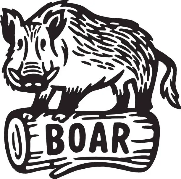 Vector illustration of Boar on a Log