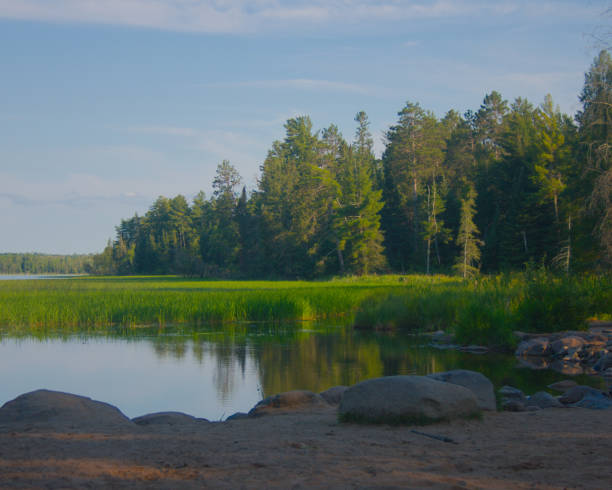 istock Itasca State Park - Mississippi Headwaters 1328180493