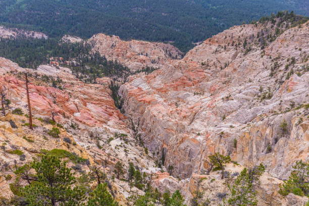 Free picture: fast, creek, canyon, narrow, formation, geology, mountain ...
