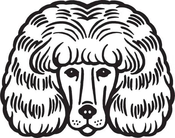 Vector illustration of Dog with Hairstyle